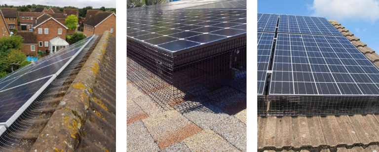 Solar Panel Bird Proofing Hamilton - Eco Energy Ltd.